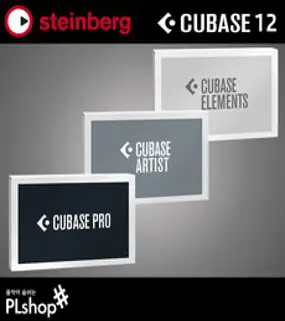 STEINBERG 큐베이스 12 엘리먼트 아티스트 프로 교육용 일반용 Cubase 12, 일반용 아티스트