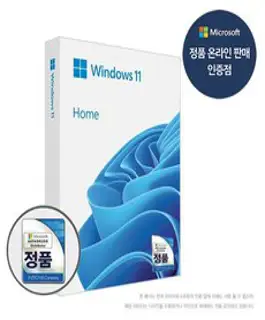 마이크로소프트 Windows 11 Home FPP USB [온라인공인인증점]