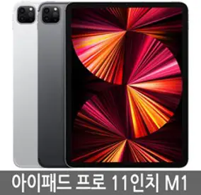 아이패드 프로 3세대(5세대) 11인치 M1 128GB 256GB 기가 정품, Wi-Fi