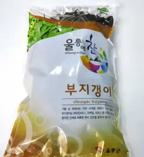 울릉물산 울릉도 건(마른) 부지갱이 나물 100g, 1개