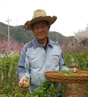 명이랑 울릉도 부지갱이 나물 200g, 1봉