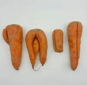 국내산 흙당근, 5kg, 1개