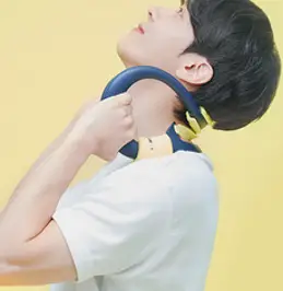 자바넥 목 스트레칭기 코스트코, 1개