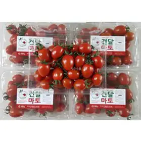 산지직송 프리미엄 건강하고 달콤한 건달마토스테비아 고당도 저칼로리 스테비아 방울 토마토 당일수확 선별후발송, 스테비아 방울 토마토 500g, 4개