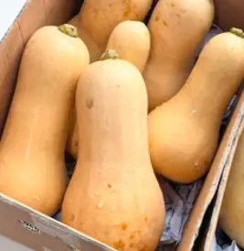 [제주특선] 건강한 땅콩호박 1kg 3kg 버터넛스쿼시, 1개