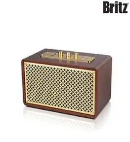 브리츠 BZ-JB5606 레트로 캠핑 블루투스 오디오 스피커