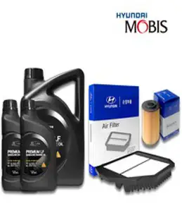 더뉴 맥스크루즈 3.3 가솔린 엔진오일세트, 6000ml