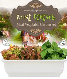 바이오필리아 채소 텃밭세트 + 식물 이름표 랜덤발송, 5종 혼합 상추