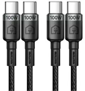 홈플래닛 C타입 C to C PD100W 초고속 충전케이블, 2m, 블랙, 2개