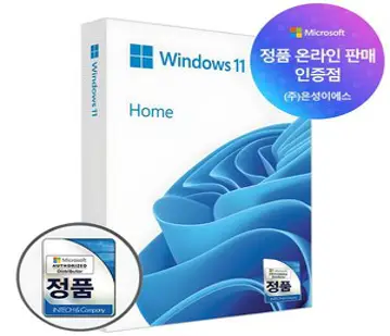 마이크로소프트 Windows 11 Home FPP USB 처음사용자용 한글, 1개